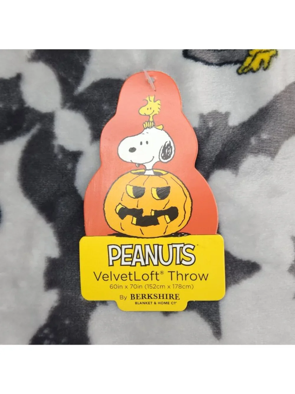 Peanuts VelvetLoft Throw Blanket 60
